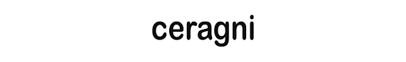 logo solidfloors_Logo_ceragni.png