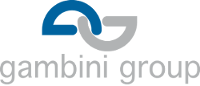 logo solidfloors_logo°Gambini group.png